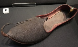 Persian slipper